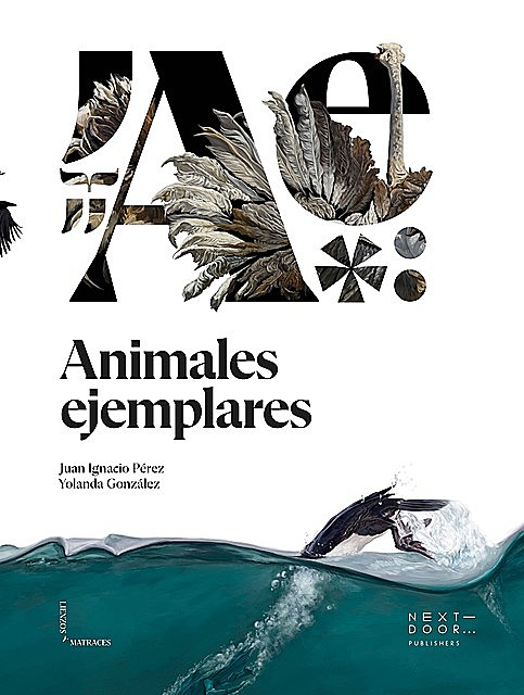 Animales ejemplares, Juan Perez