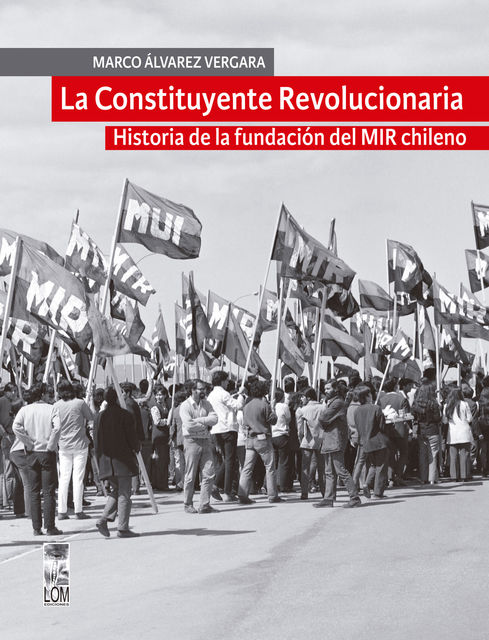 La Constituyente revolucionaria, Marco Álvarez Vergara