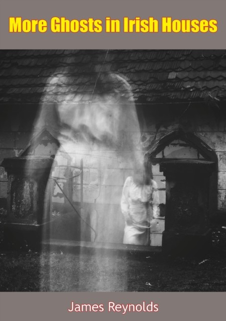 More Ghosts in Irish Houses, James Reynolds