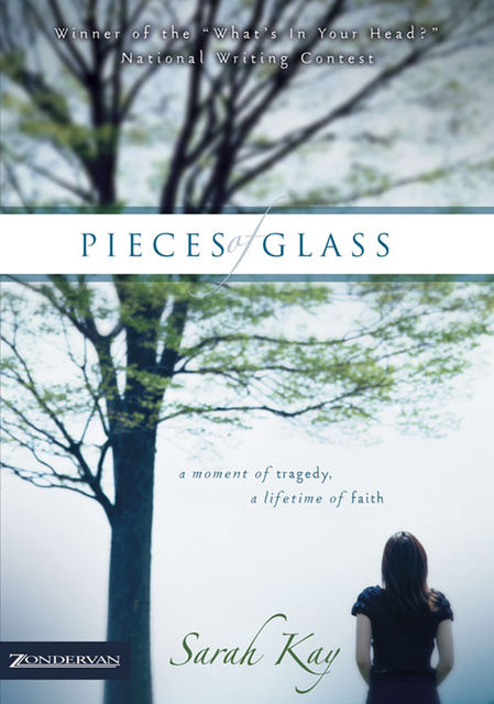 Pieces of Glass, Sarah Kay