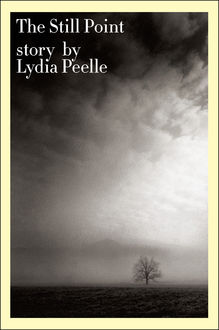 The Still Point, Lydia Peelle