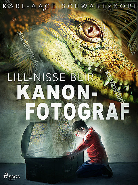 Lill-Nisse blir kanonfotograf, Karl-Aage Schwartzkopf