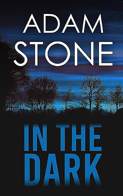 In The Dark, Adam Stone