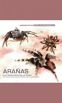Arañas, Laura López Argoytia, Guillermo Ibarra Nuñez, Yann Hénaut