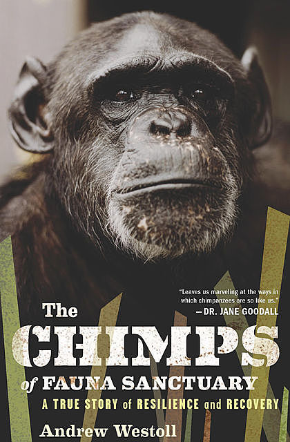 The Chimps of Fauna Sanctuary, Andrew Westoll