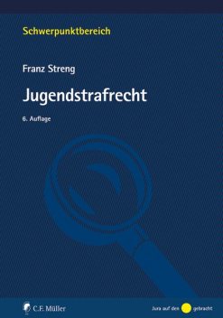 Jugendstrafrecht, Franz Streng