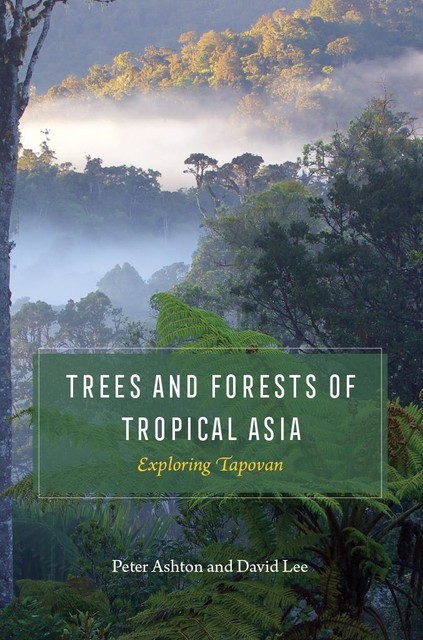 Trees and Forests of Tropical Asia, David Lee, Peter Ashton