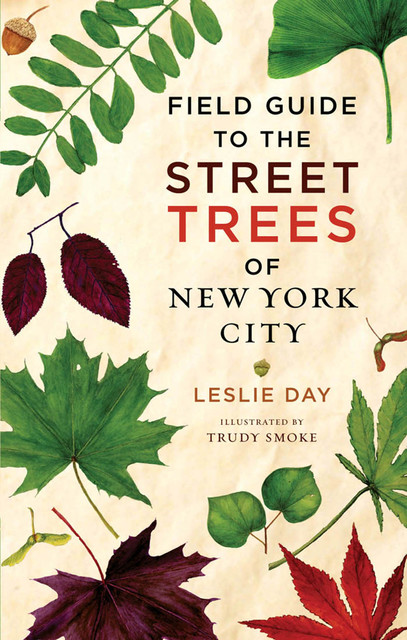 Field Guide to Street Trees New York City, Leslie Day