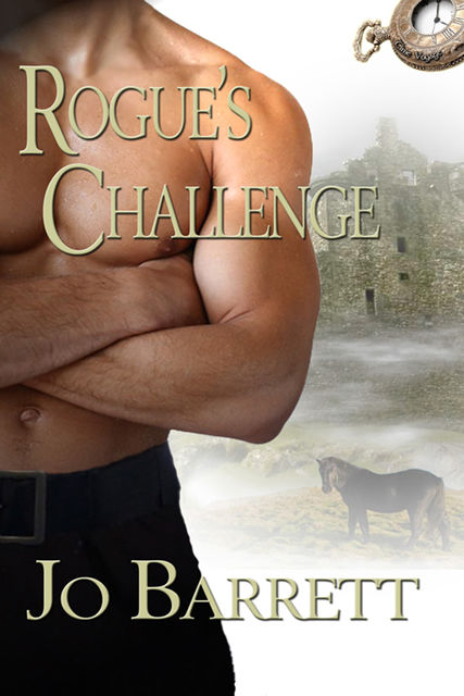 Rogue's Challenge, Jo Barrett