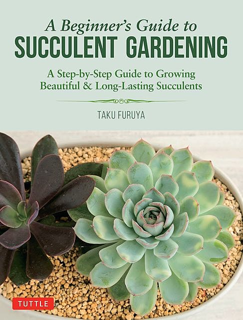 A Beginner's Guide to Succulent Gardening, Taku Furuya
