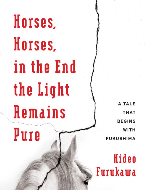 Horses, Horses, in the End the Light Remains Pure, Hideo Furukawa