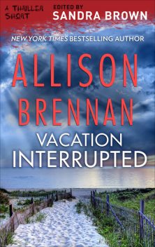 Vacation Interrupted, Allison Brennan