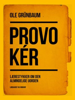 Provokér: Lærestykker om den almindelige uorden, Ole Grünbaum