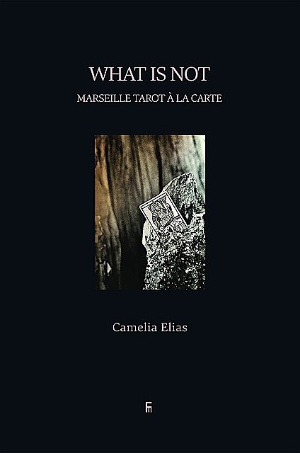 What is Not, Camelia Elias