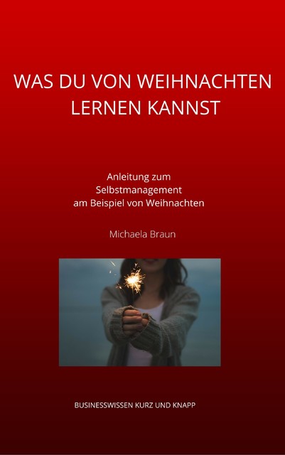 WAS DU VON WEIHNACHTEN LERNEN KANNST, Michaela Braun