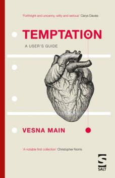 Temptation: A User's Guide, Vesna Main
