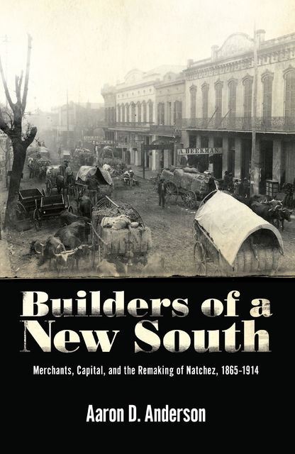 Builders of a New South, Aaron Anderson