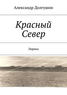 Красный Север, Александр Долгушин