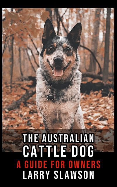 The Australian Cattle Dog, Larry Slawson
