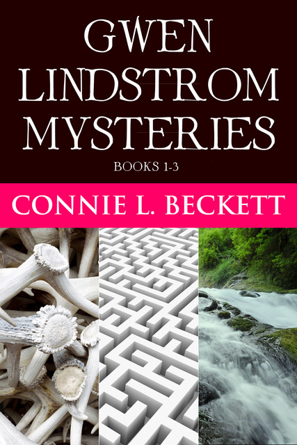 Gwen Lindstrom Mysteries, Connie L. Beckett