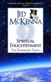 Духовное просветление — прескверная штука, Джед МакКенна
