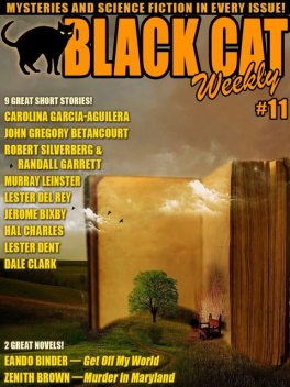 Black Cat Weekly #11, Wildside Press