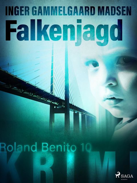 Falkenjagd – Roland Benito-Krimi 10, Inger Gammelgaard Madsen