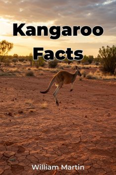 Kangaroo Facts, William Martin