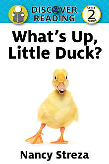 What's Up, Little Duck?, Nancy Streza