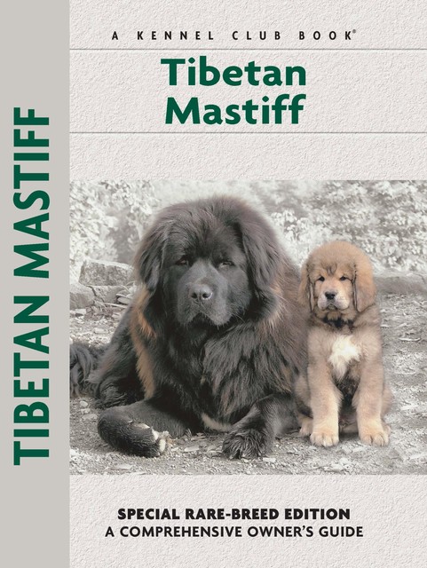 Tibetan Mastiff, Juliette Cunliffe