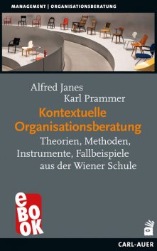 Kontextuelle Organisationsberatung, Alfred Janes, Karl Prammer