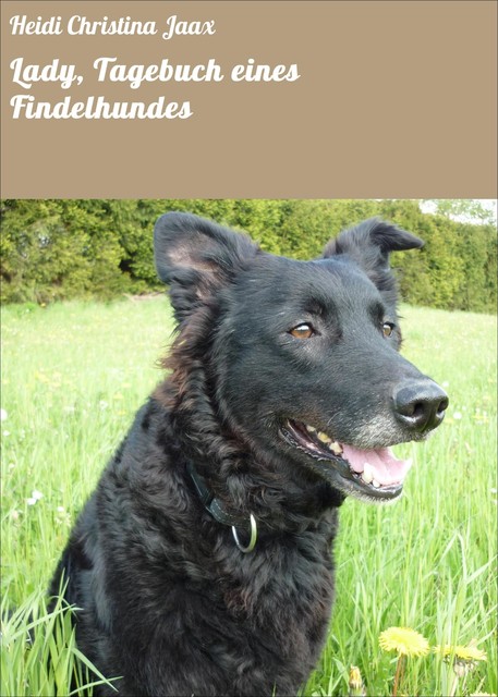 Lady, Tagebuch eines Findelhundes, Heidi Christina Jaax