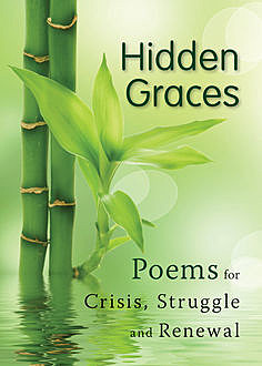 Hidden Graces, Gretchen L.Schwenker, C.Ss.R., J.Kessler, Mathew J.Kessler