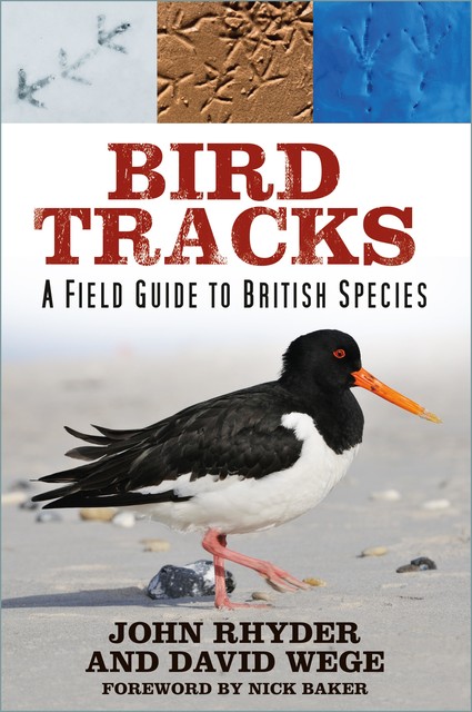 Bird Tracks, John Rhyder, David Wege