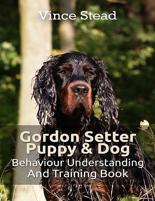 Gordon Setter Puppy & Dog Behavior Understanding and Training Book, Vince Stead