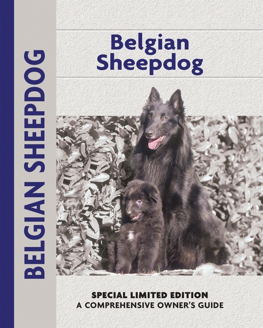 Belgian Sheepdog, Robert Pollet