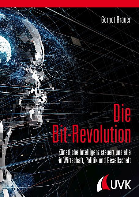 Die Bit-Revolution, Gernot Brauer