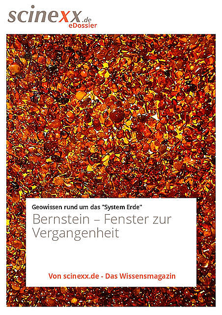 Bernstein, Edda Schlager