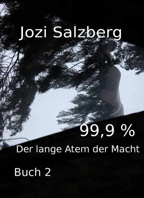 99,9 % – Buch 2, Jozi Salzberg