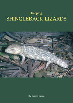 Keeping Shingleback Lizards, Milton Lewis