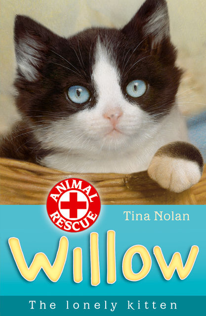 Willow the lonely kitten, Tina Nolan
