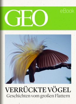 Verrückte Vögel: Geschichten vom großen Flattern (GEO eBook), GEO eBook
