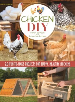 Chicken DIY, Samantha Johnson