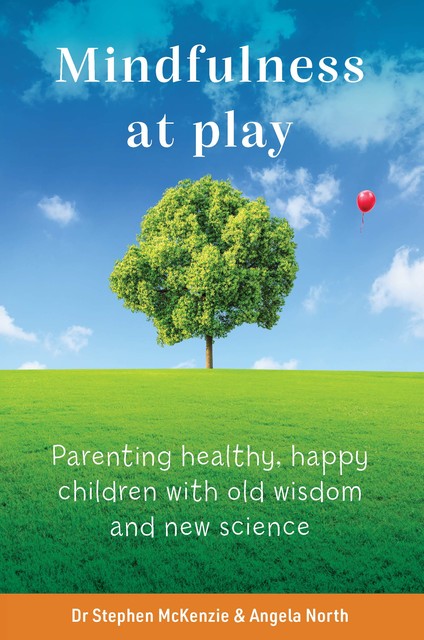 Mindfulness at Play, Stephen McKenzie, Angela North