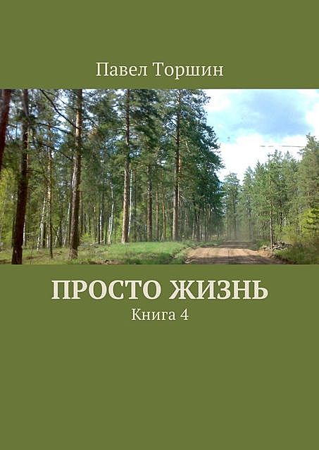 Просто жизнь, Павел Торшин