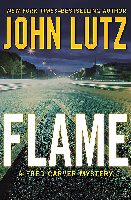 Flame, John Lutz