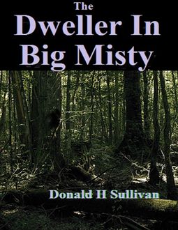 The Dweller In Big Misty, Donald Sullivan