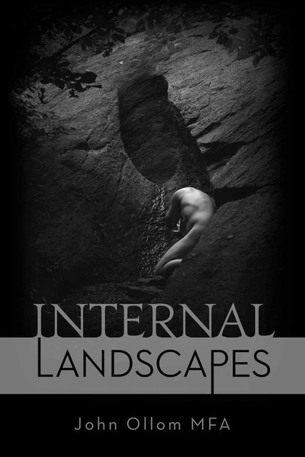 Internal Landscapes, John Ollom