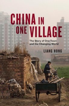 China in One Village: The Story of One Town and the Changing World, Liang Hong