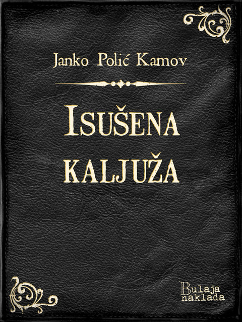 Isušena kaljuža, Janko Polić Kamov